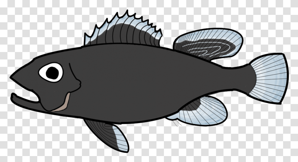 Transition Drawing Fish California Flounder, Sunglasses, Accessories, Accessory, Animal Transparent Png
