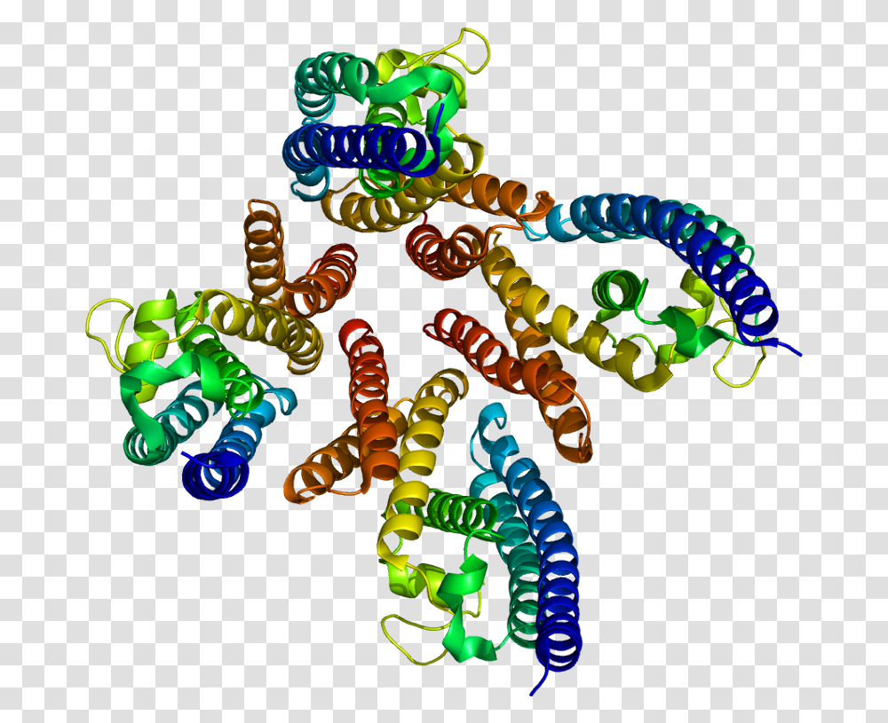 Translin Wikipedia Protein, Neon, Light, Text, Parade Transparent Png