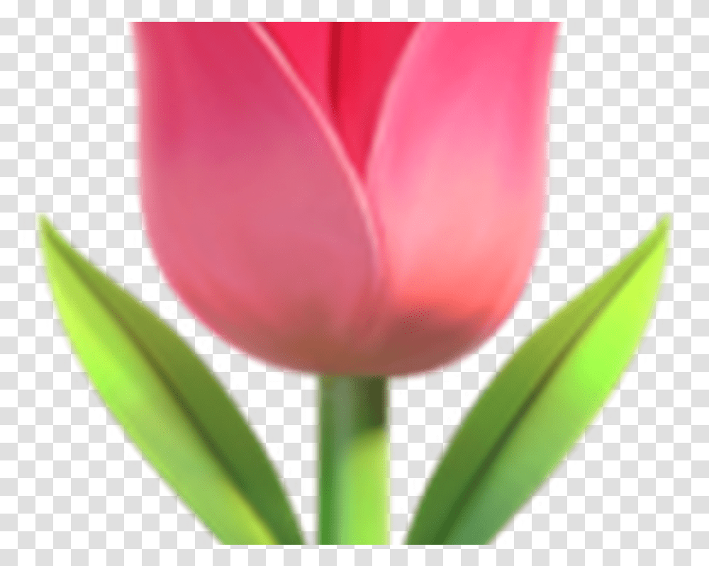 Transpa Flower Emoji Hot Trending Now Emoji Flowers, Plant, Tulip, Blossom, Balloon Transparent Png