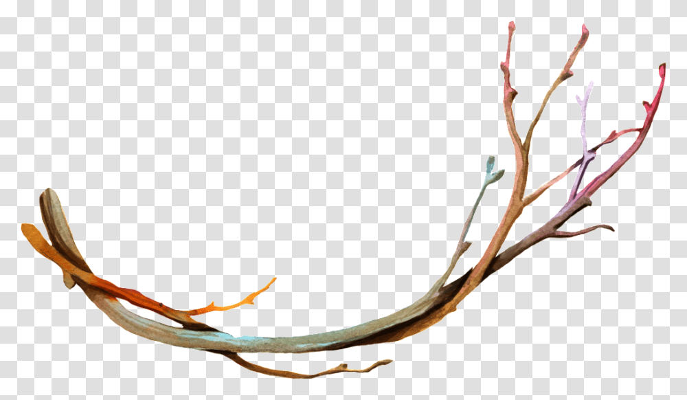 Transparente De Ramas Secas Branches Background, Plant, Root, Snake, Reptile Transparent Png