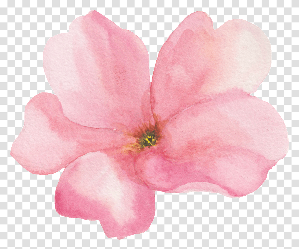 Transparente Ornamental De Flores Rosas Flores Rosadas Transparentes, Plant, Petal, Flower, Blossom Transparent Png