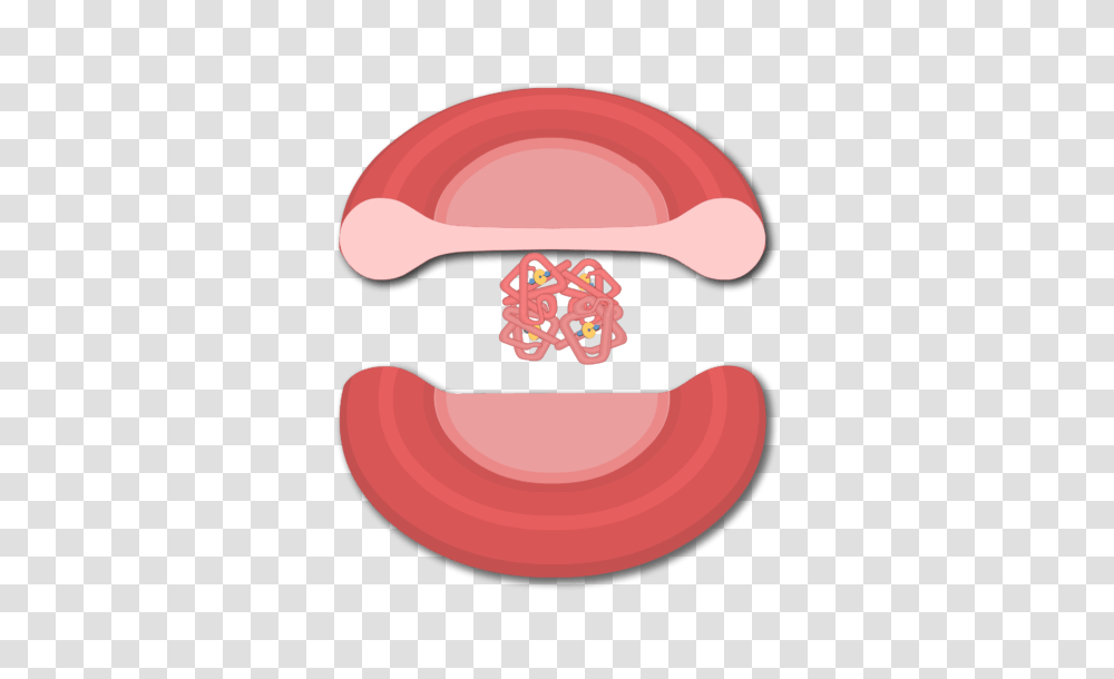 Transport Of Oxygen In The Blood, Teeth, Mouth, Lip, Tongue Transparent Png