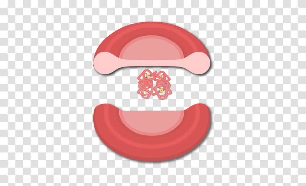 Transport Of Oxygen In The Blood, Teeth, Mouth, Lip, Tongue Transparent Png