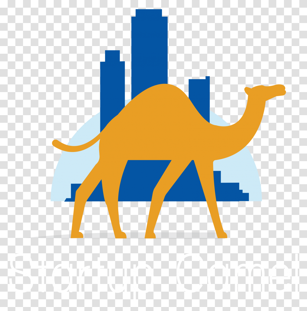 Transportation Clipart Camel Dromedary, Mammal, Animal, Poster, Advertisement Transparent Png
