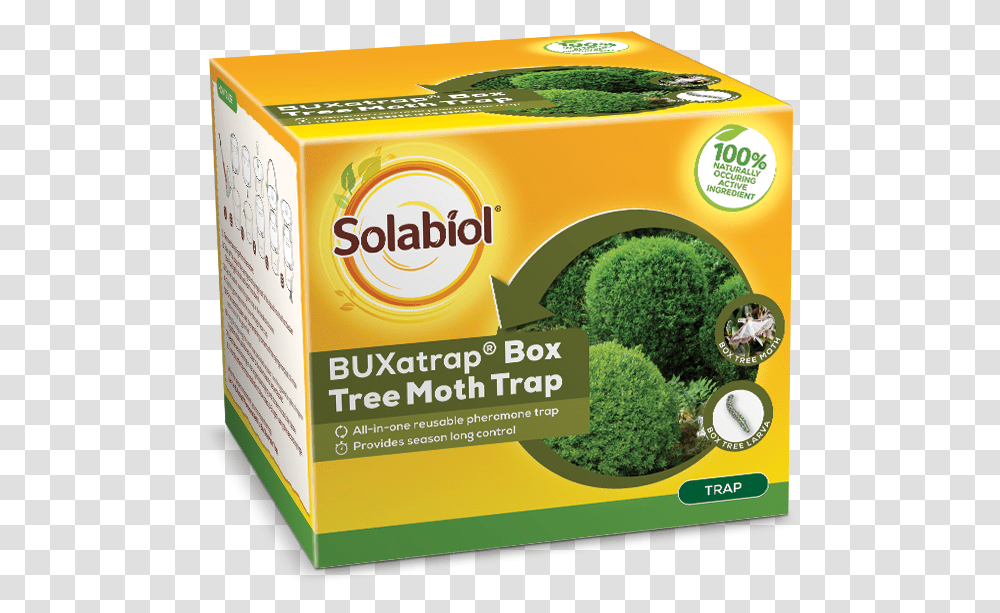 Trap, Plant, Broccoli, Vegetable, Food Transparent Png
