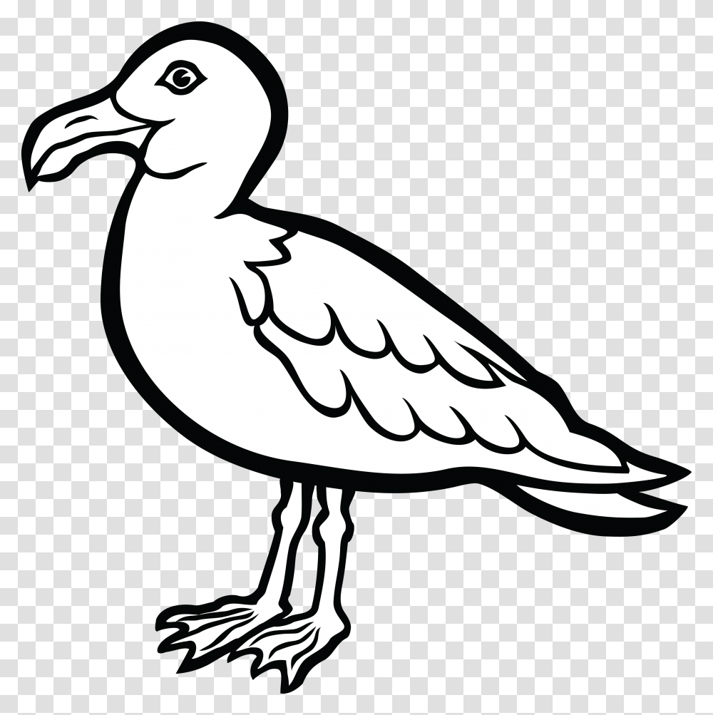 Trap Shoot Clay Bird Clipart, Animal, Waterfowl, Beak, Seagull Transparent Png