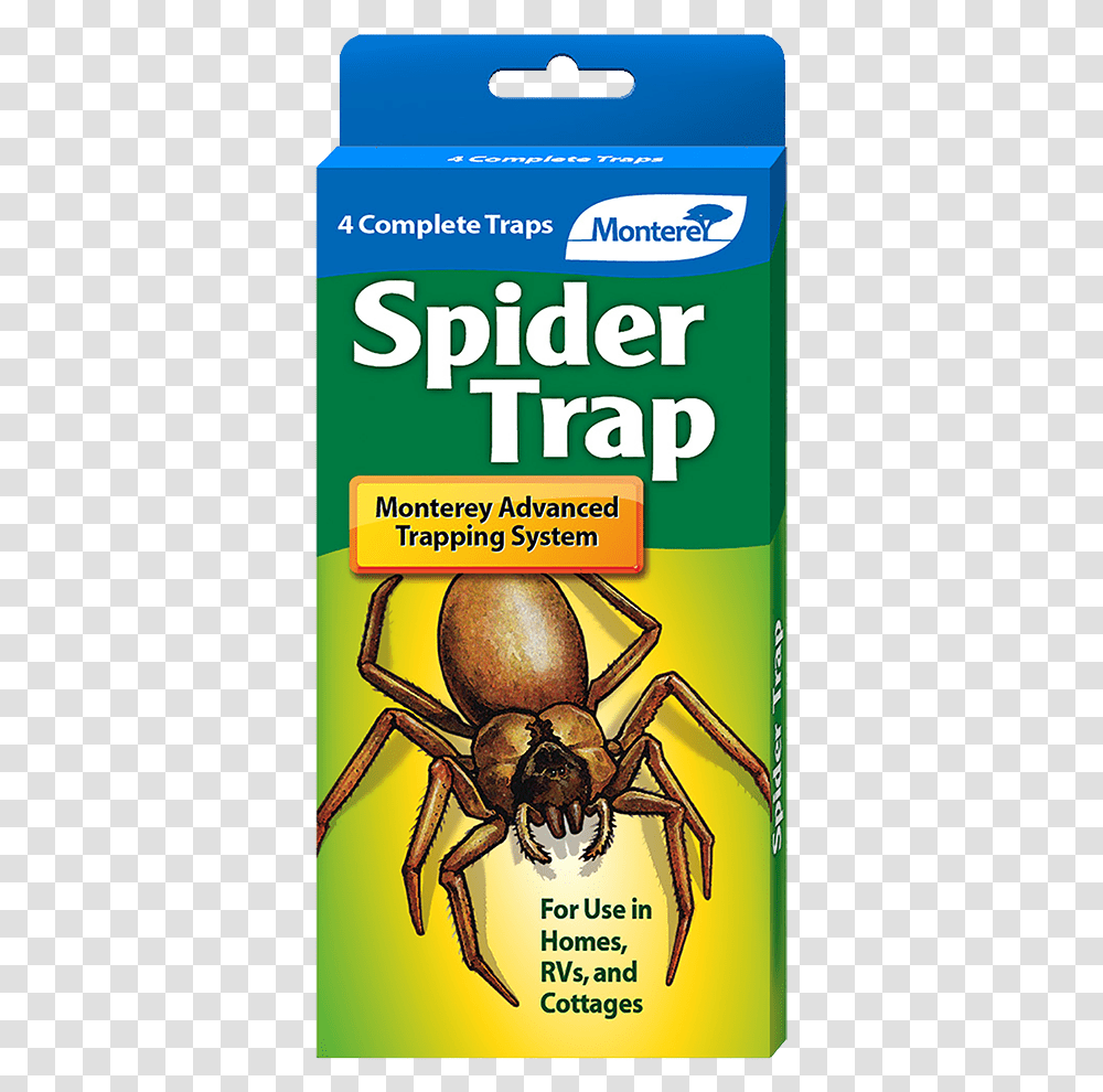 Trap, Spider, Invertebrate, Animal, Arachnid Transparent Png
