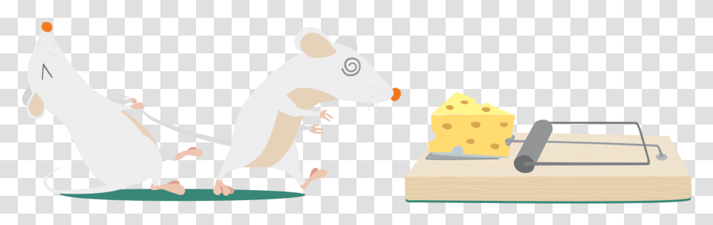 Trap With Generic Mice Mousetrap, Animal, Mammal, Person, Human Transparent Png