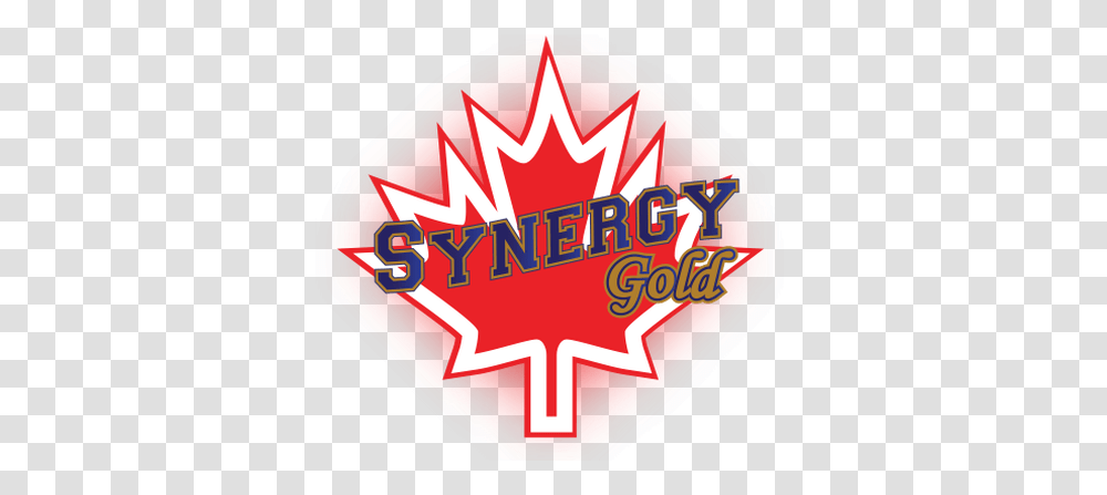 Travel Team Synergy Gold Fastpitch College Prospects Label, Logo, Symbol, Text, Helmet Transparent Png