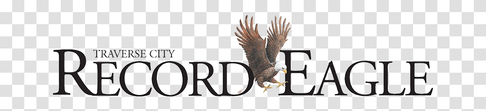Traverse City Record Eagle, Bird, Animal, Bald Eagle, Kite Bird Transparent Png