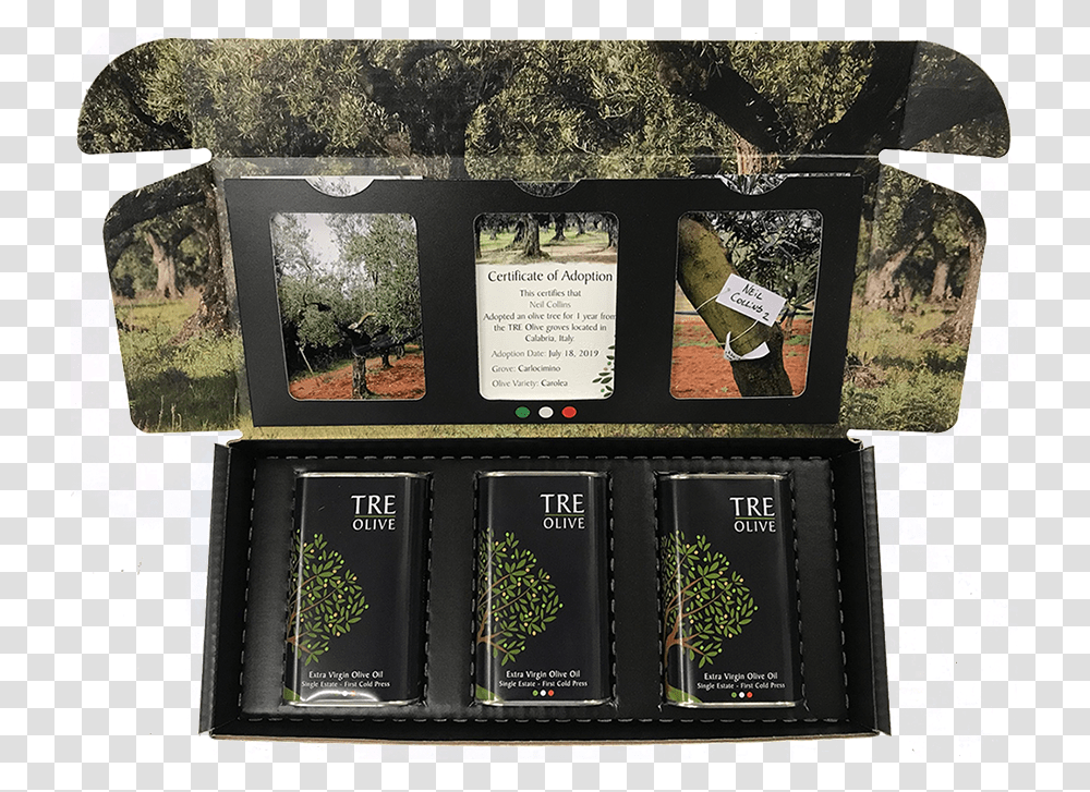 Tre Olive Adoption Package, Vegetation, Plant, Paper Transparent Png