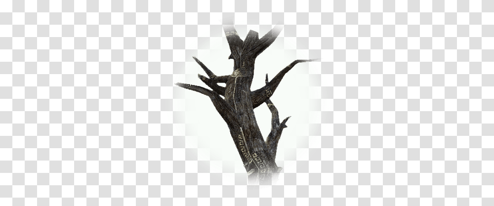 Treant Ghost Tree Bdo Codex Art, Wood, Driftwood, Plant, Tree Stump Transparent Png