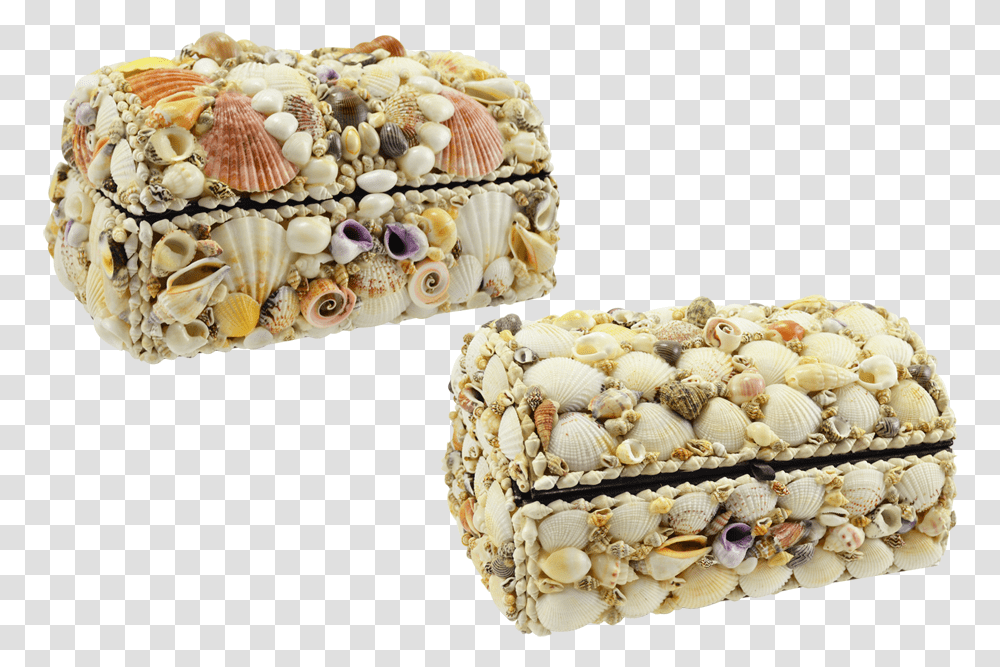 Treasure Box Natural Shells Fruit Cake, Sea Life, Animal, Clam, Seashell Transparent Png