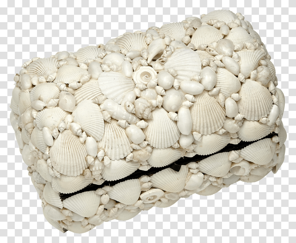 Treasure Box White Ss10x6 Handbag, Clam, Seashell, Invertebrate, Sea Life Transparent Png