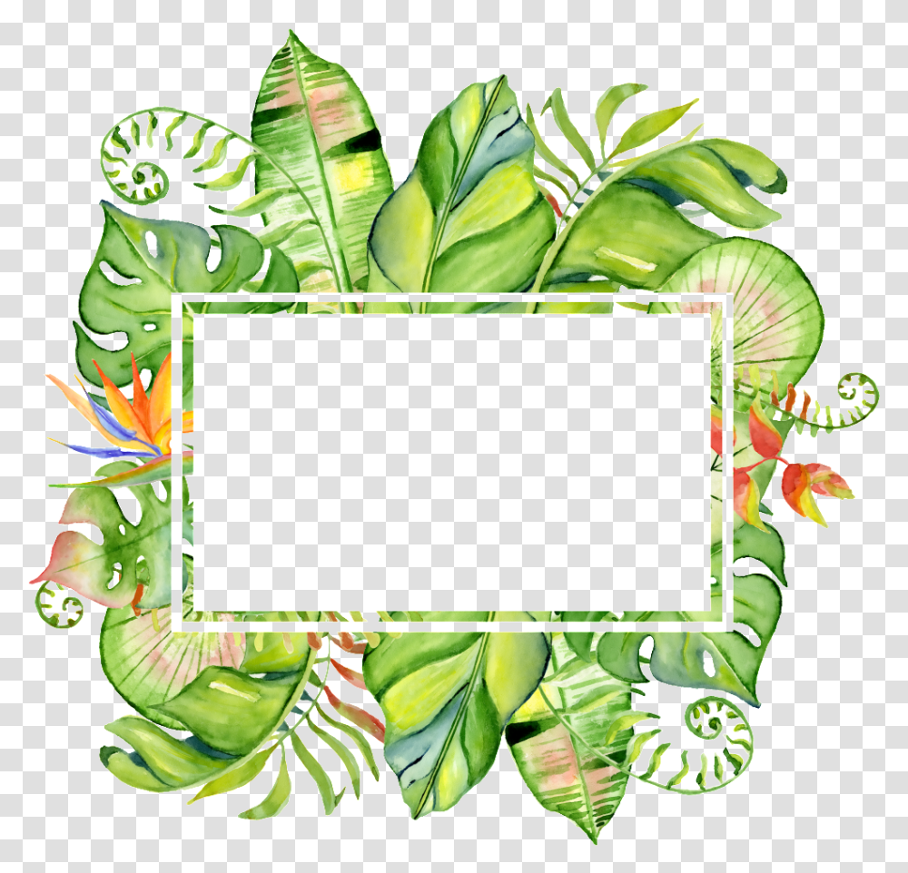 Treasure Color Column Surrounded By Tropical Watercolor Border, Green, Plant, Label Transparent Png