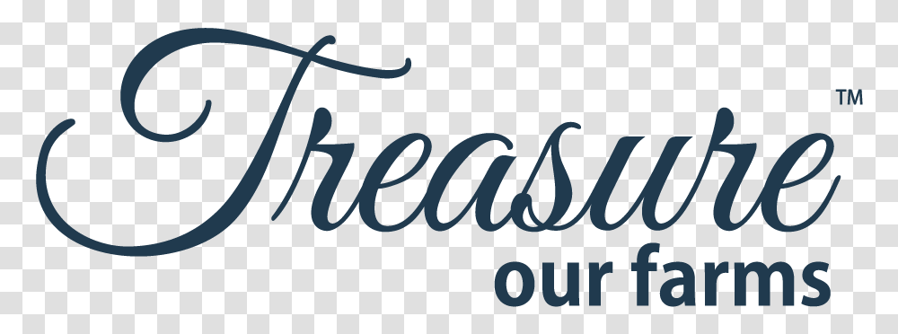 Treasure Word In Different Fonts, Calligraphy, Handwriting, Label Transparent Png