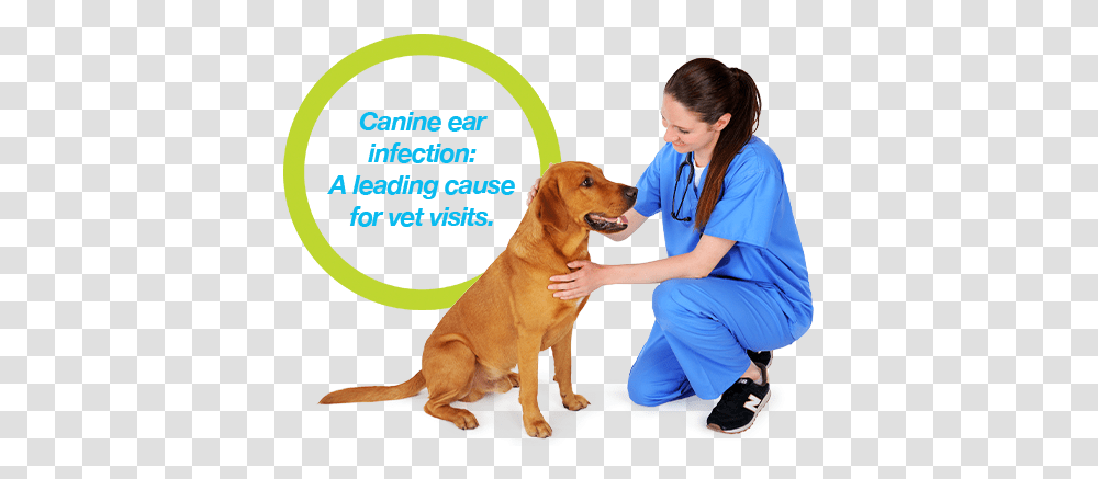 Treating Dog Ear Infections Just Got Easier Dog Yawns, Doctor, Person, Human, Veterinarian Transparent Png