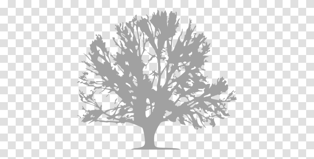Tree 041 Icons Tree Icon, Plant, Rug, Maple, Stencil Transparent Png