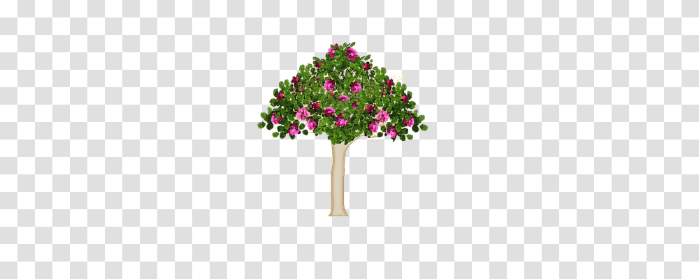 Tree Nature, Geranium, Flower, Plant Transparent Png