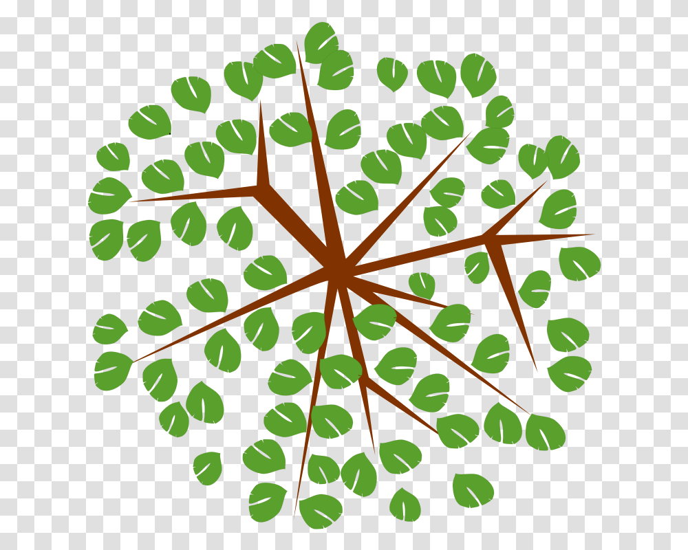 Tree 12c Tree Clipart From Top Download Full Size Tree Top View Icon, Leaf, Plant, Pattern, Ornament Transparent Png