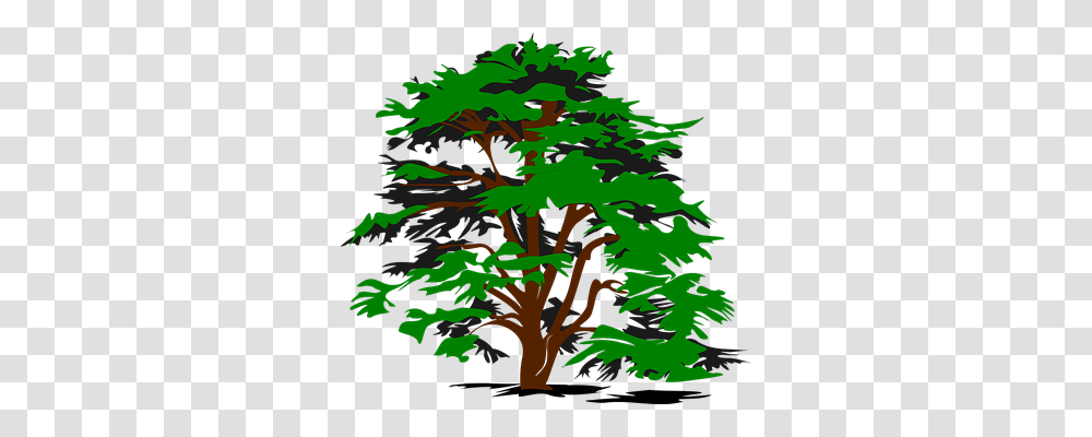 Tree Nature, Plant, Maple, Leaf Transparent Png