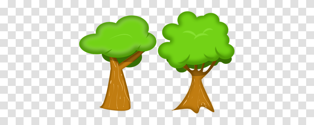 Tree Nature, Plant, Hand, Vegetable Transparent Png