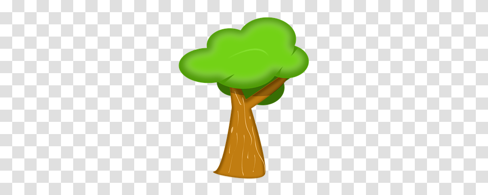 Tree Nature, Plant, Fungus, Rattle Transparent Png