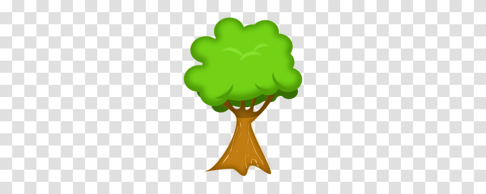 Tree Nature, Hourglass, Vehicle, Transportation Transparent Png