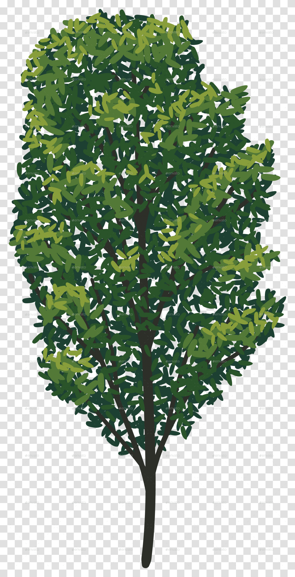 Tree 15 No Stroke American Holly, Military, Military Uniform, Camouflage, Rug Transparent Png