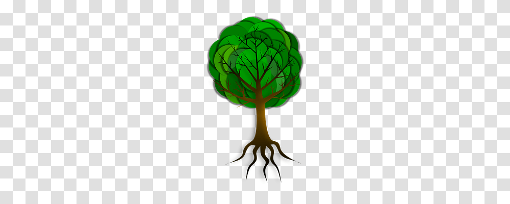 Tree Technology, Plant, Ornament, Pattern Transparent Png