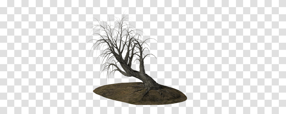 Tree Nature, Plant, Wood, Bush Transparent Png