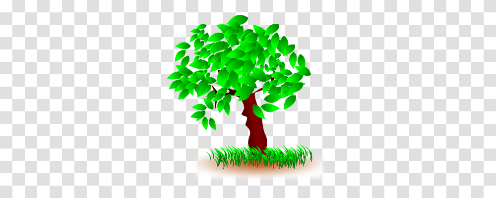 Tree Nature, Plant, Pattern, Green Transparent Png