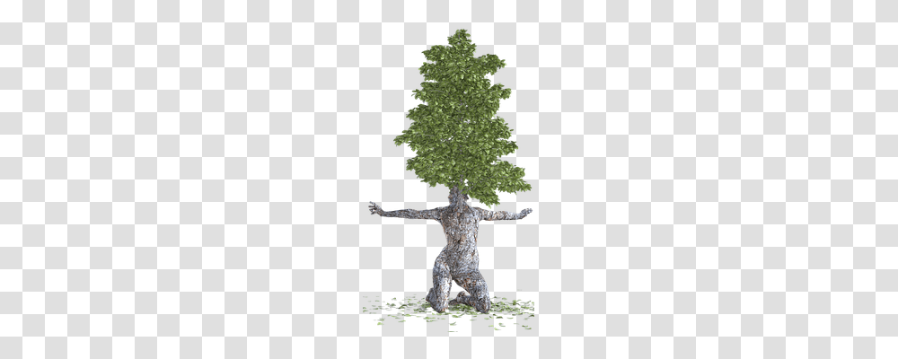 Tree Person, Plant, Cross Transparent Png