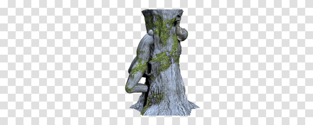 Tree Person, Wood, Figurine, Bird Transparent Png