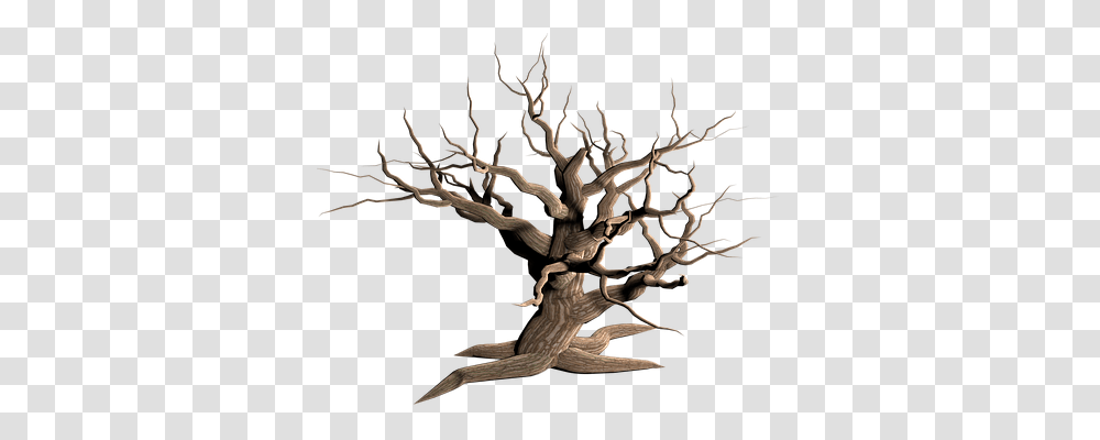 Tree Nature, Wood, Plant, Root Transparent Png