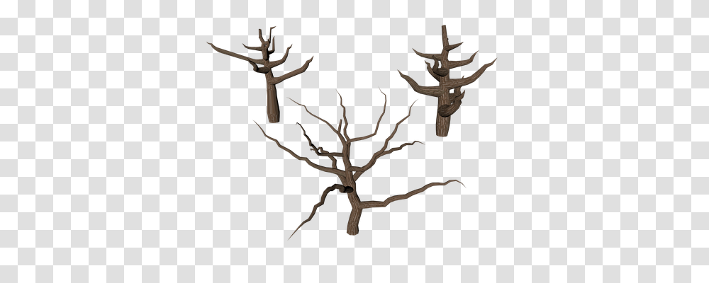 Tree Nature, Antler, Wood, Cross Transparent Png