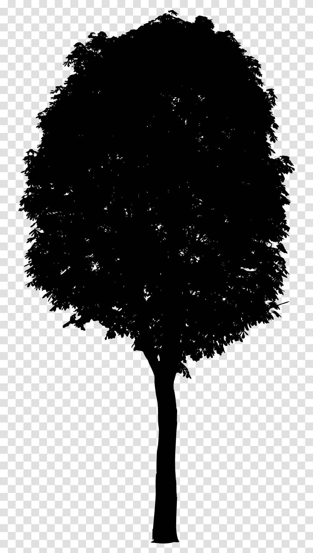 Tree 2 Black Tree Silhouette, Gray, World Of Warcraft Transparent Png