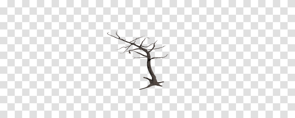 Tree Nature, Cross, Snowflake Transparent Png