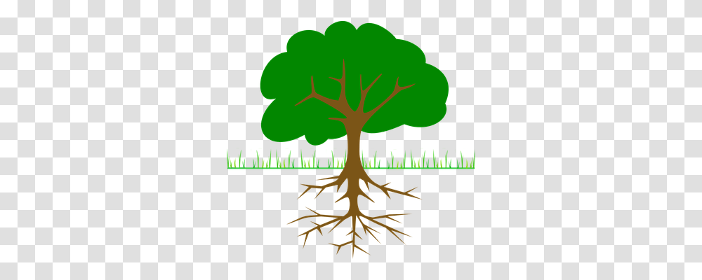 Tree Nature, Root, Plant, Poster Transparent Png