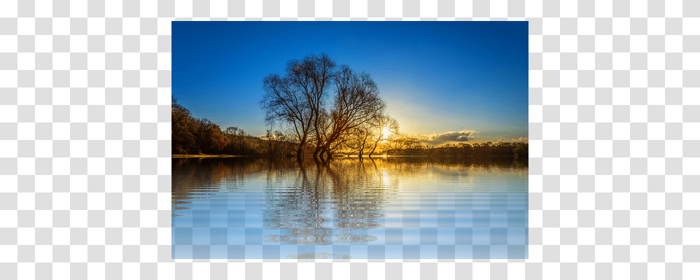 Tree Nature, Water, Outdoors, Scenery Transparent Png