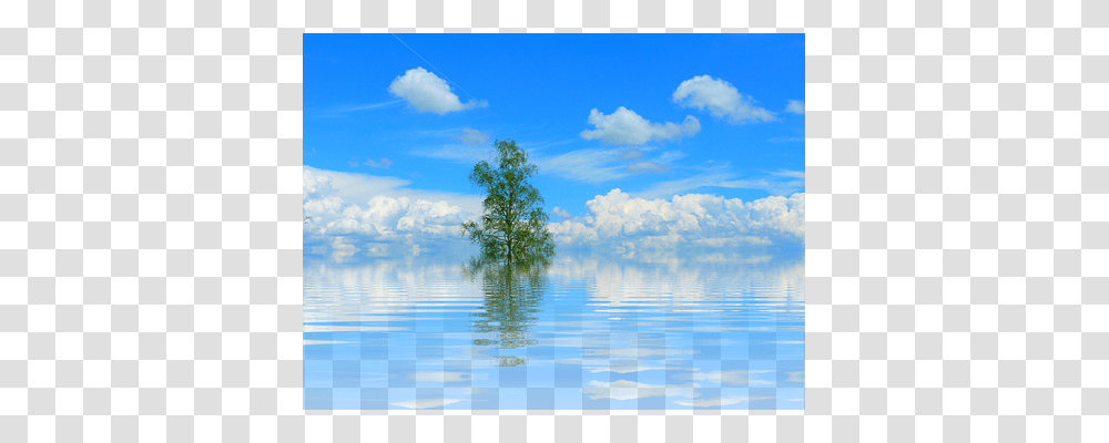 Tree Nature, Outdoors, Water, Sea Transparent Png