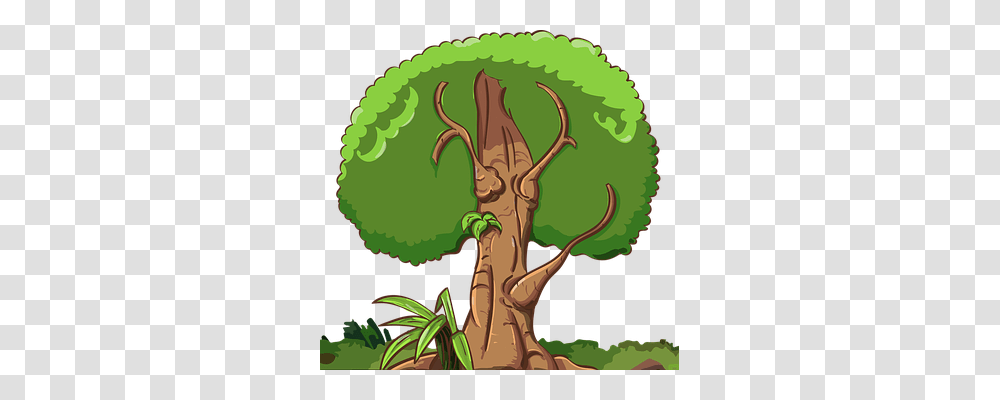 Tree Nature, Vegetation, Plant, Rainforest Transparent Png