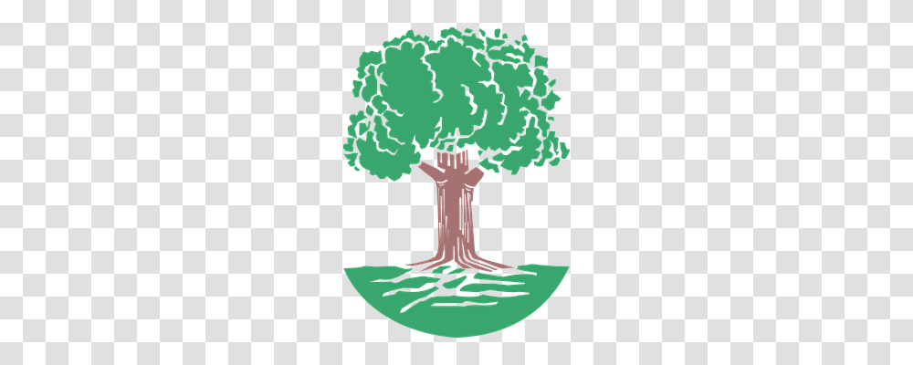 Tree Nature, Plant, Vegetation, Cross Transparent Png