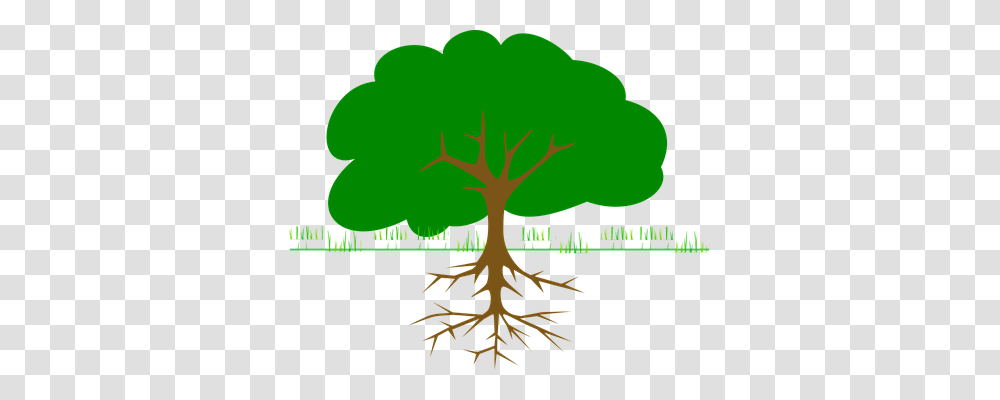 Tree Nature, Root, Plant, Poster Transparent Png