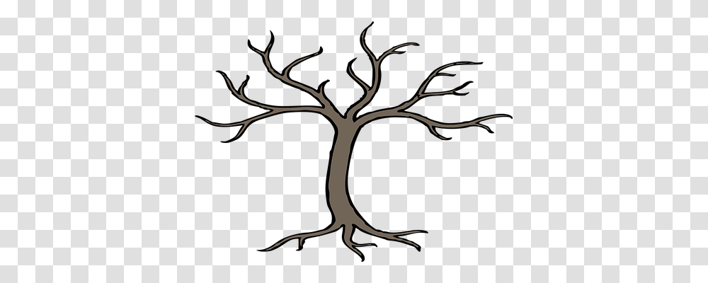 Tree Nature, Plant, Root, Tree Trunk Transparent Png