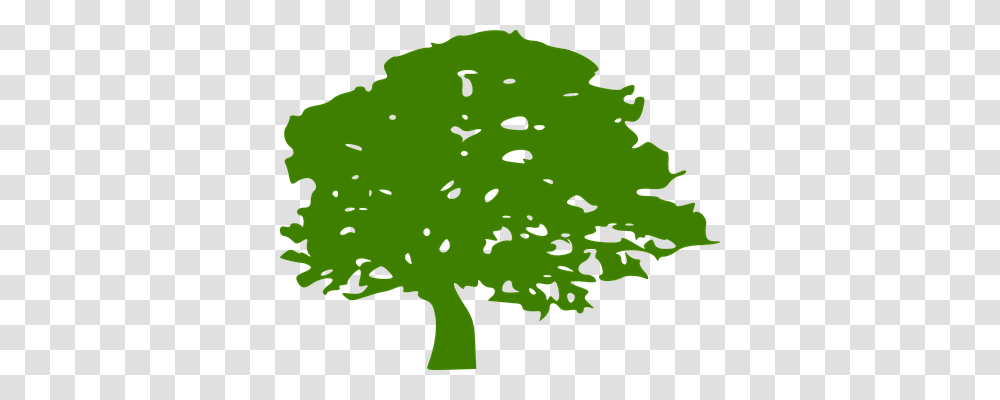 Tree Nature, Plant, Animal, Flying Transparent Png