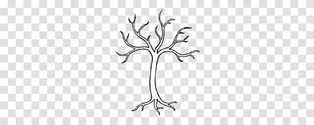 Tree Nature, Root, Plant, Drawing Transparent Png