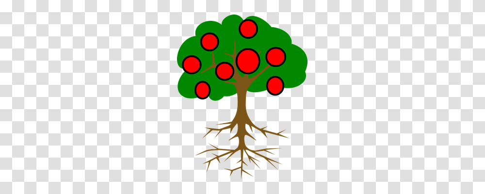 Tree Food, Plant, Root, Poster Transparent Png