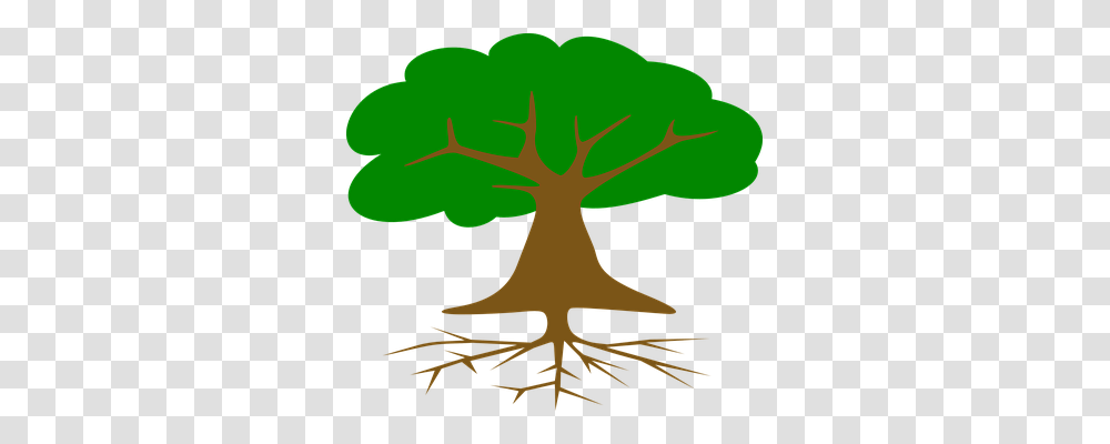 Tree Nature, Plant, Root, Poster Transparent Png