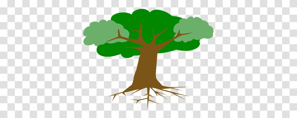 Tree Nature, Plant, Root, Poster Transparent Png